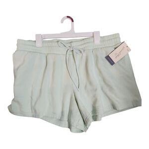 Mint Green Women's Shorts Universal Thread
